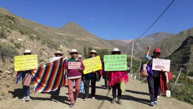 la-nueva-constitucion-de-jujuy-discrimina-a-los-indigenas