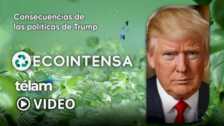 ecointensa:-consecuencias-de-las-politicas-de-trump