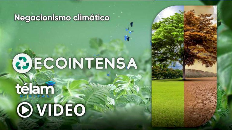 ecointensa:-negacionismo-climatico