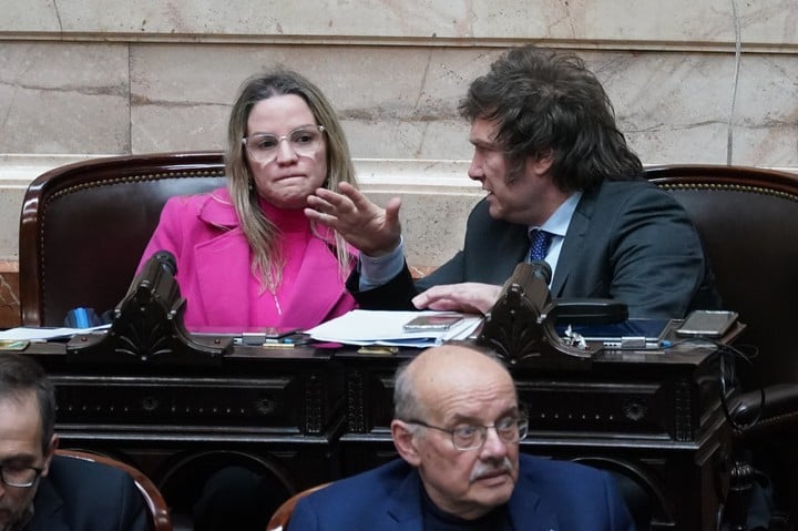 con-el-apoyo-de-javier-milei,-el-kirchnerismo-aprobo-en-diputados-la-reforma-de-ganancias-y-la-envio-al-senado