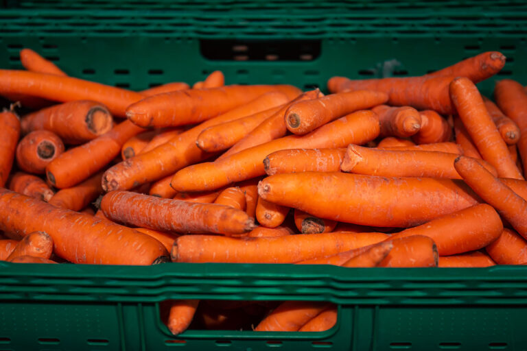 Baja del consumo y suba de los costos