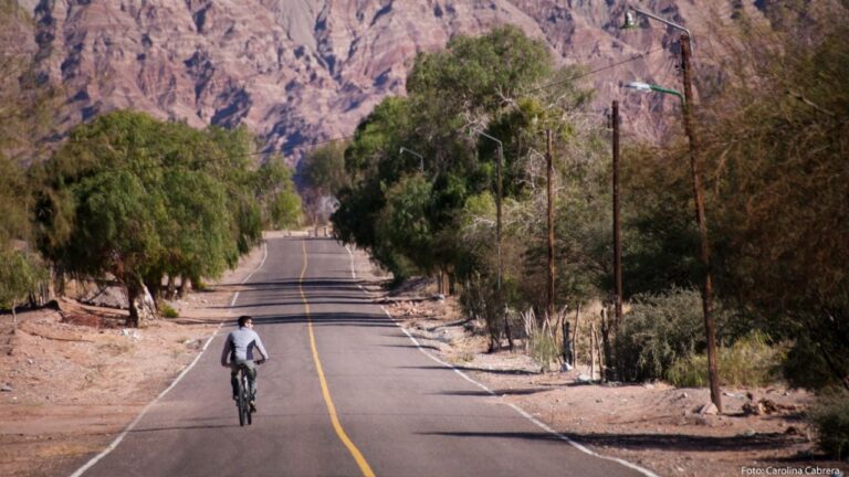 Estado de rutas nacionales en Catamarca
