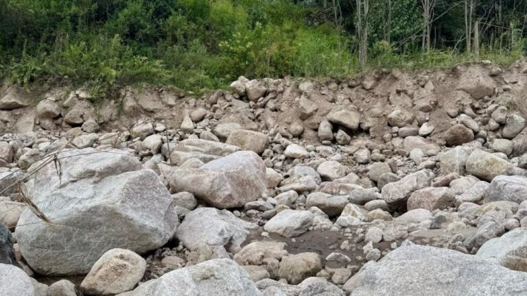 «Estamos en una situación desesperante»