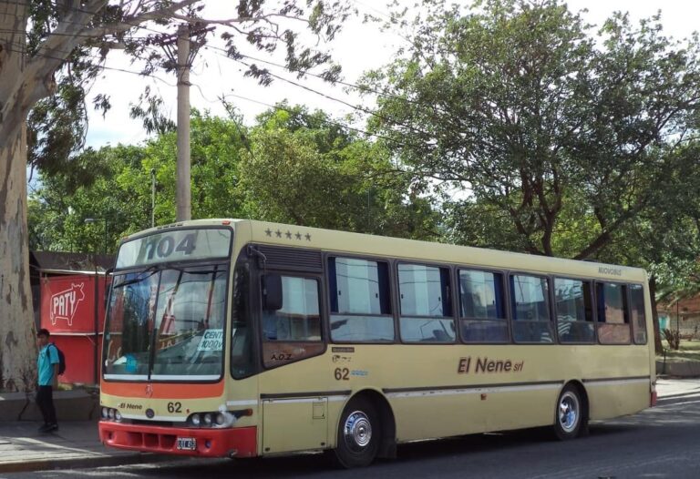 Por sucios: intimaron a 2 empresas de colectivo a mantener la higiene de sus unidades