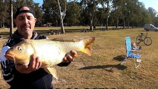 Grandes carpas pican en la laguna de Lobos