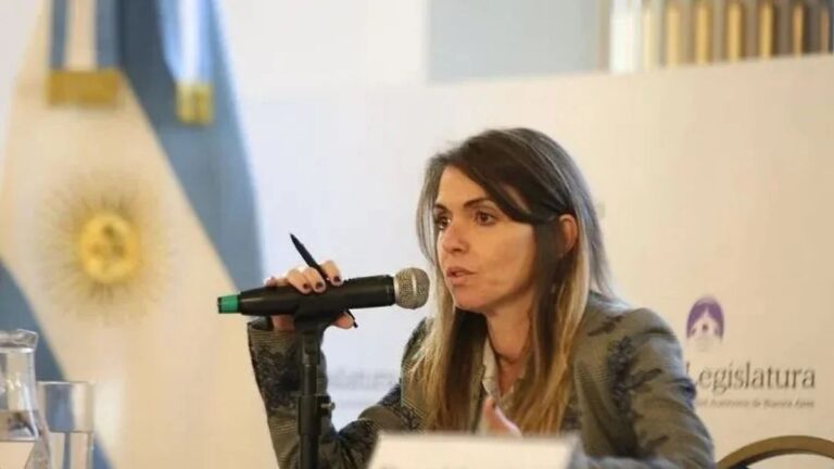 Andrade explicó su fallo por detenidos