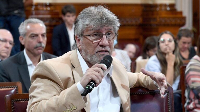 Andrada y otros tres senadores se abrieron del bloque kirchnerista