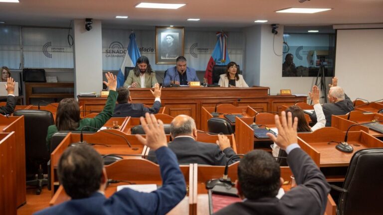 El Senado se reunió en su primera sesión ordinaria