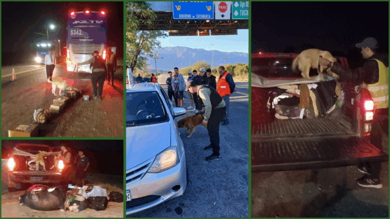 Secuestran cocaína en un operativo vehicular