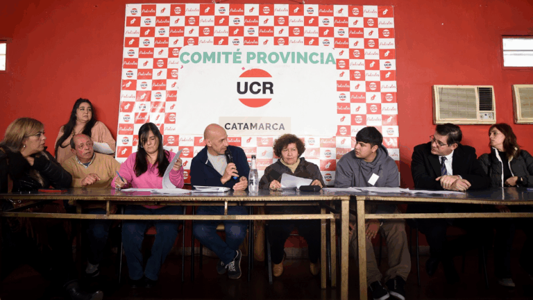 La Convención de la UCR define su futuro electoral