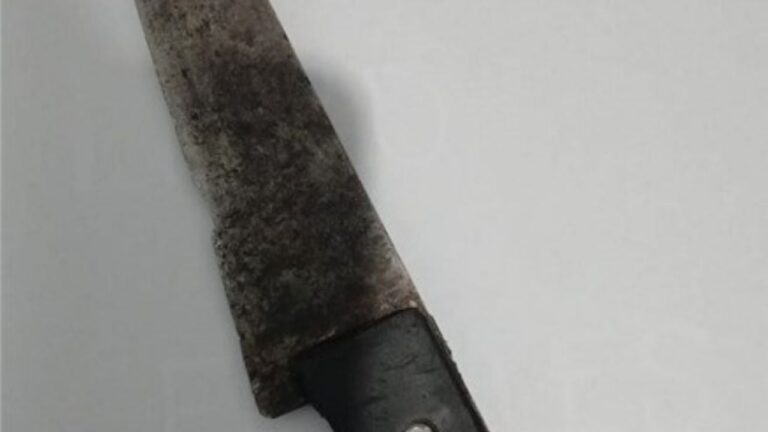 Denunció que su propio sobrino de 17 años la amenazó de muerte con un arma blanca