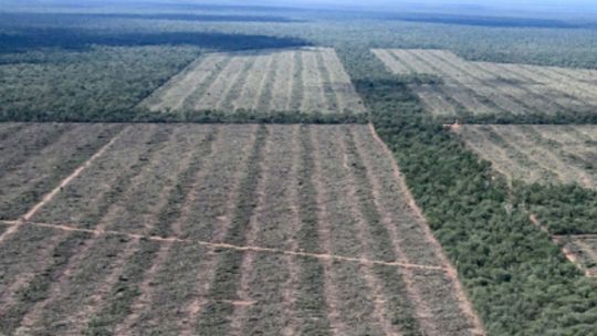 Día Nacional del Sobregiro Ecológico: de qué se trata y por qué preocupa a los ambientalistas?1