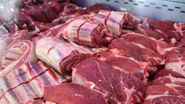 El consumo de carne vacuna sigue en caída y se mantiene en mínimos históricos