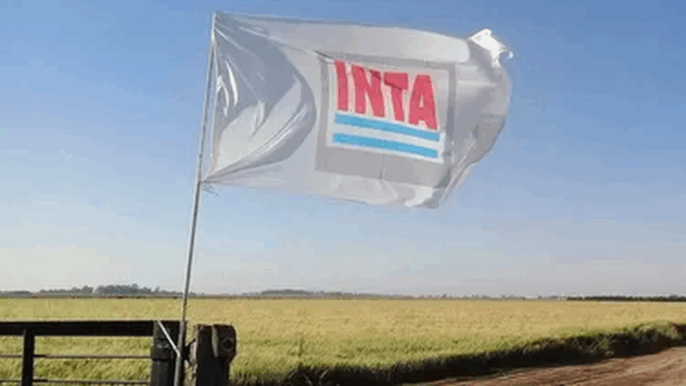 La Mesa de Enlace cuestiona la reforma del INTA