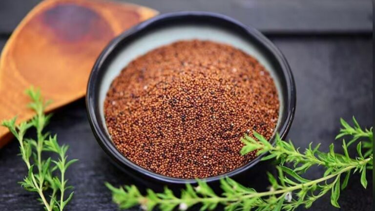 Ni avena ni quinoa: el cereal con más proteínas que potencia la memoria y frena el envejecimiento