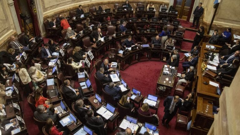 El Senado revocó el veto presidencial sobre la emergencia por Bahía Blanca