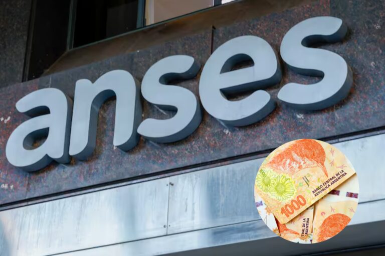 Calendario Anses: qué prestaciones sociales se cobran en la semana del 28 al 31 de julio