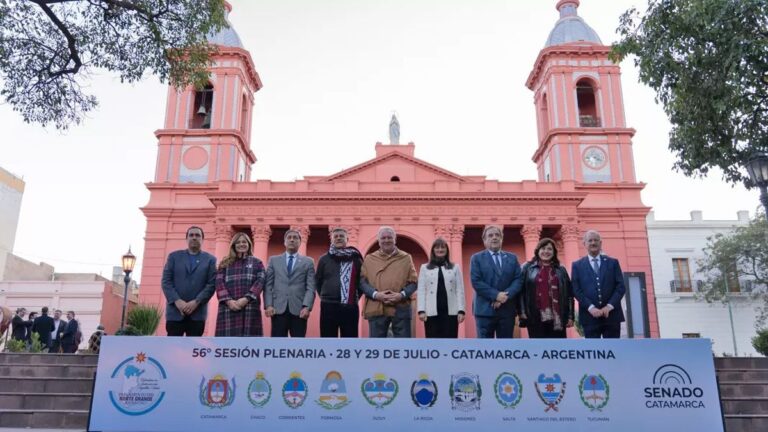 Vicegobernadores ratifican a Nación el pedido de fondos