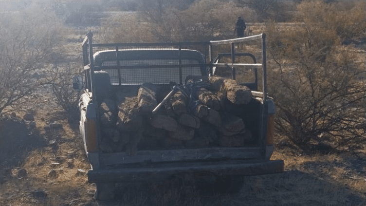 Cinco detenidos por robar durmientes del ferrocarril en Pomán