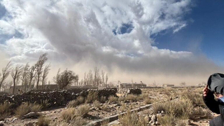 Imágenes con dolor: así quedó Laguna Blanca tras los fuertes vientos