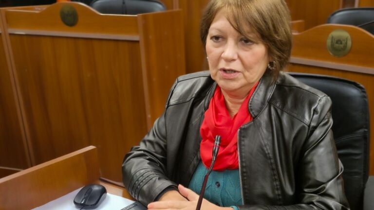 Piden rechazar el veto presidencial a leyes de protección social