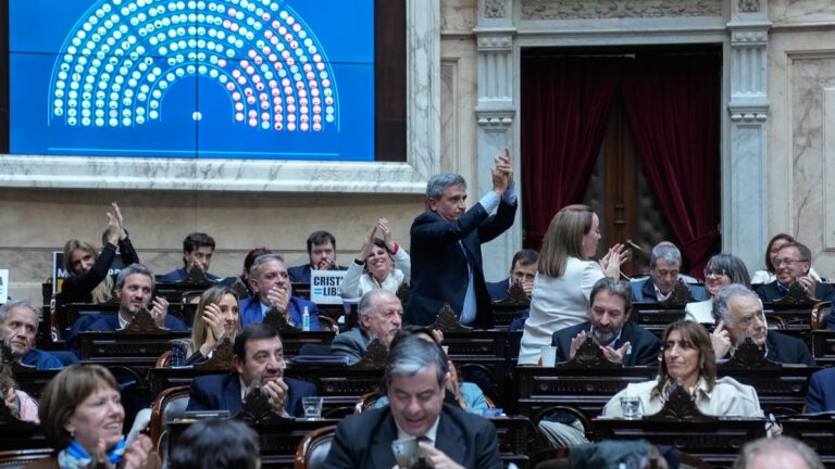 Revés para el Gobierno: Diputados aprobó el financiamiento universitario y la emergencia del Garrahan