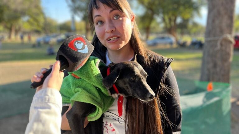 Club de los Bichitos: un evento exclusivo para tus animalitos
