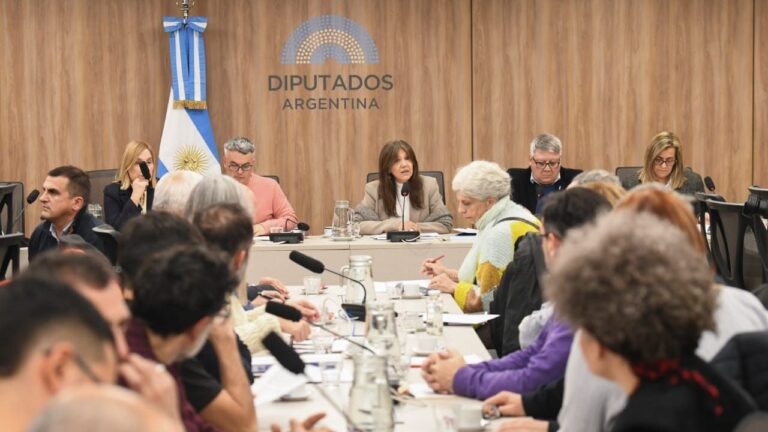 Ginocchio: «El rechazo al DNU 345 fue un logro del sector de la cultura»