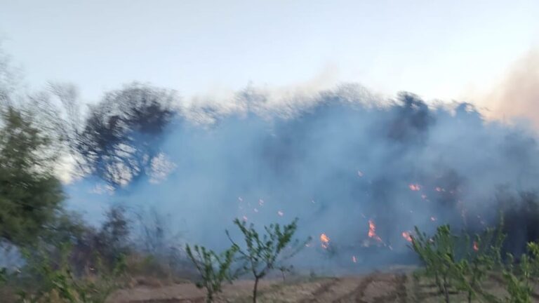 Se registraron tres incendios en menos de dos horas en Andalgalá