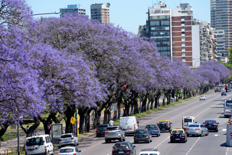 Legislatura: primer paso para el adeudado Código Ambiental