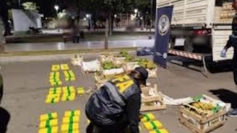 Hallan 85 kilos de cocaína entre bananas y papayas con la marca del Delfín