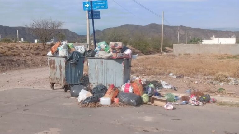 «Solo dos contenedores para tres barrios»