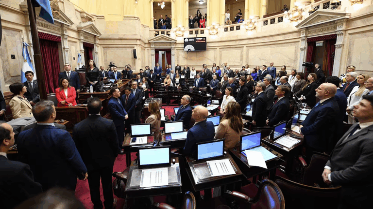 Senado: avanza el debate por los vetos de Javier Milei al financiamiento universitario y la emergencia pediátrica