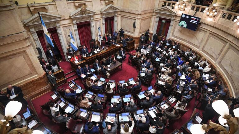 El Senado ratificó leyes de financiamiento del Garrahan y universidades