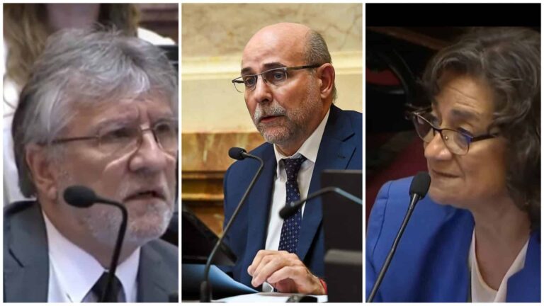 El Senado rechazó los vetos presidenciales en Garrahan y universidades: cómo votaron los catamarqueños