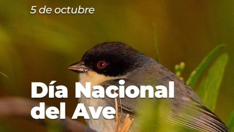Parque Nacional Aconquija invita a celebrar el Día Nacional del Ave