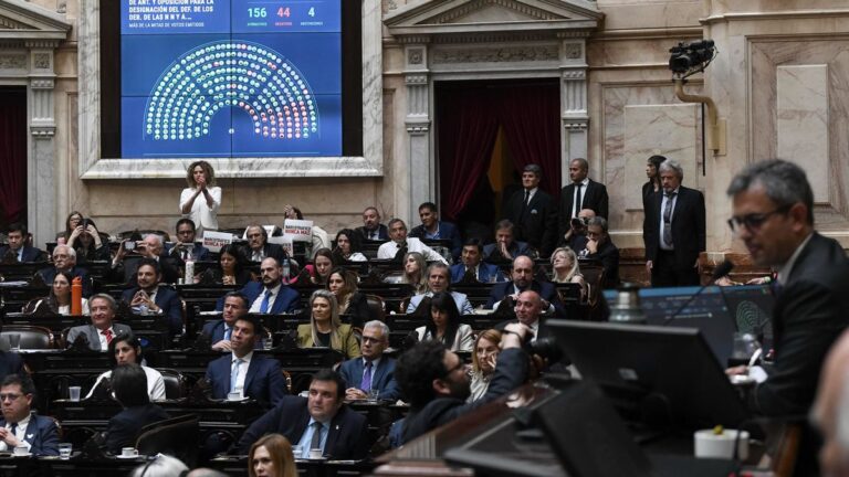 El Senado definirá si aprueba el nuevo régimen para los DNU