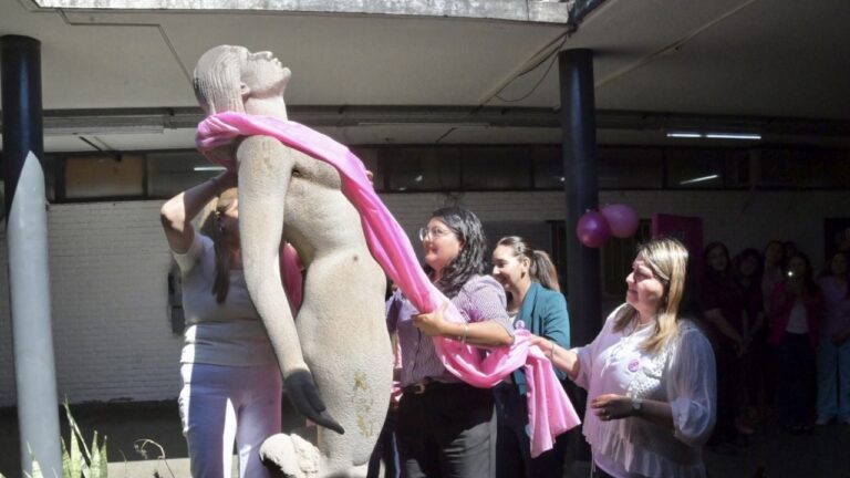 Catamarca disminuyó la mortalidad por cáncer de mama