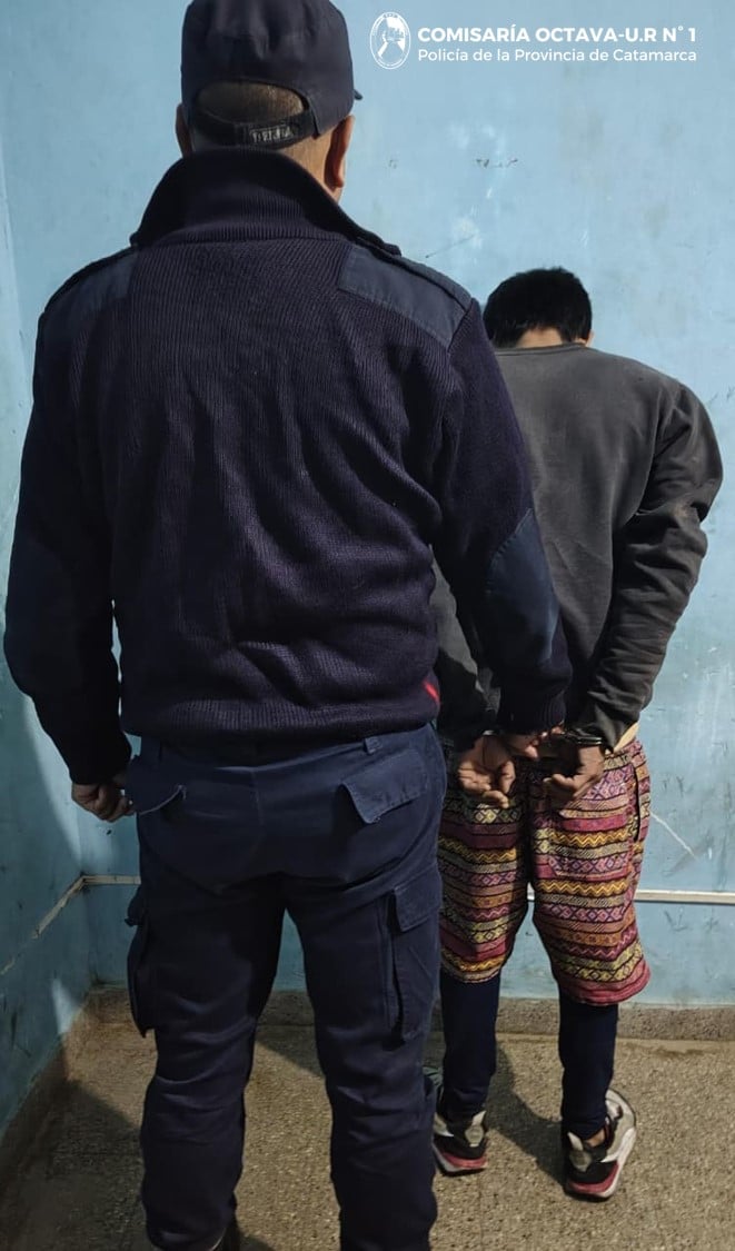 Aprehendieron a un hombre acusado de agredir a su pareja en el norte de la Capital