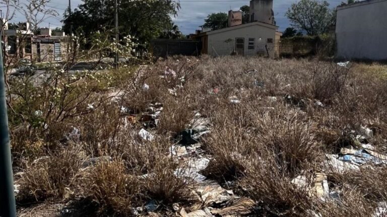 Piden la limpieza y desmantelamiento de un terreno baldío