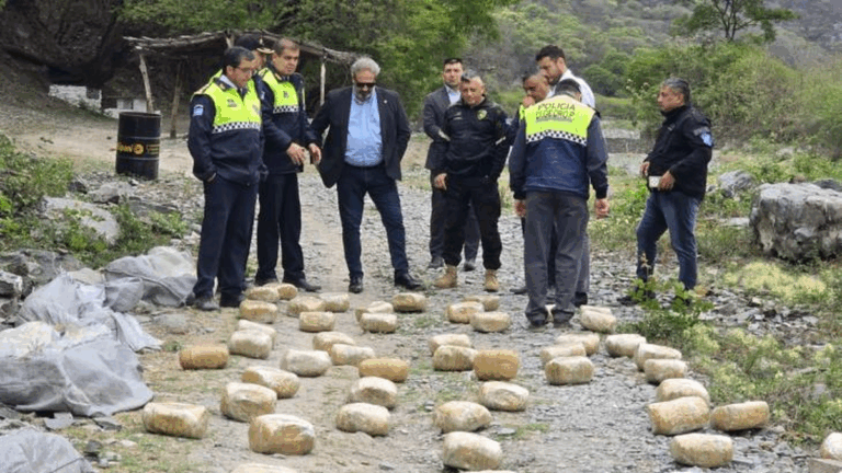 Vehils Ruiz destacó operativo en Tucumán que desbarató banda narco con más de 300 kilos de marihuana