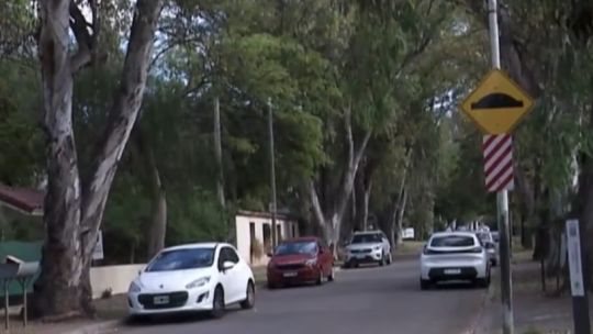 Córdoba: el amparo ambiental que divide a Jardín Espinosa y paraliza su mercado inmobiliario