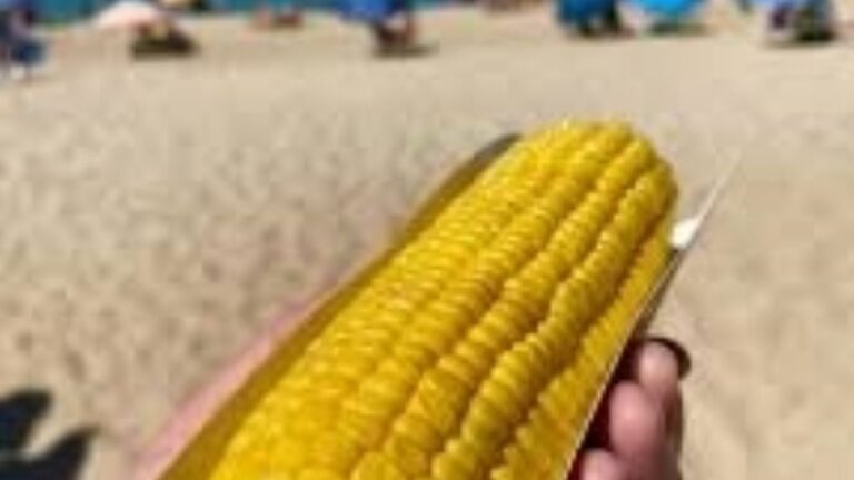 Precios del verano 2026 en Mar del Plata: Cuánto cuesta comer un choclo en la playa?
