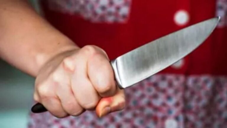 La mujer que apuñaló a su pareja recuperó la libertad