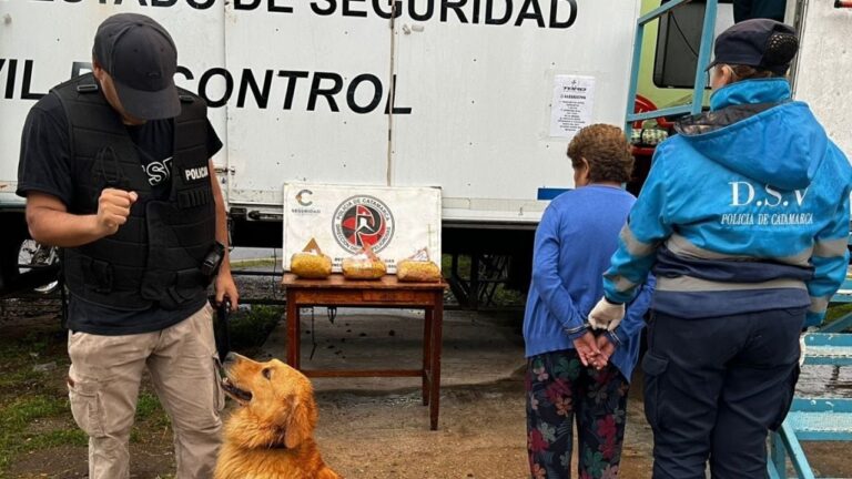 Abuela transportaba más de 3 kilos de droga en piñatas de cumpleaños