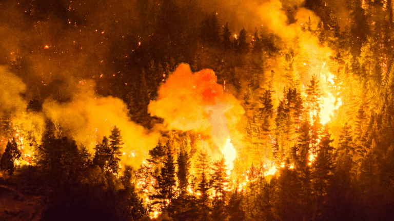 Por los incendios, Milei agradeció el trabajo de bomberos en la Patagonia
