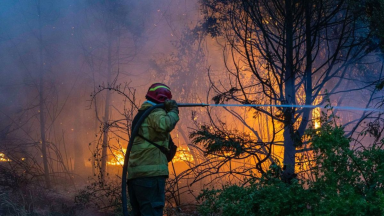 Acusan al Gobierno de usar el racismo para tapar su inacción en incendios en la Patagonia