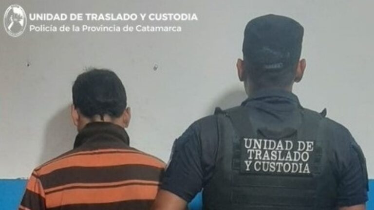 El juez envió a un ladrón al penal