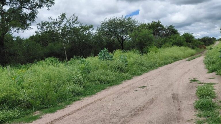 Malestar de vecinos por el deterioro de las rutas en Salauca y Ampolla