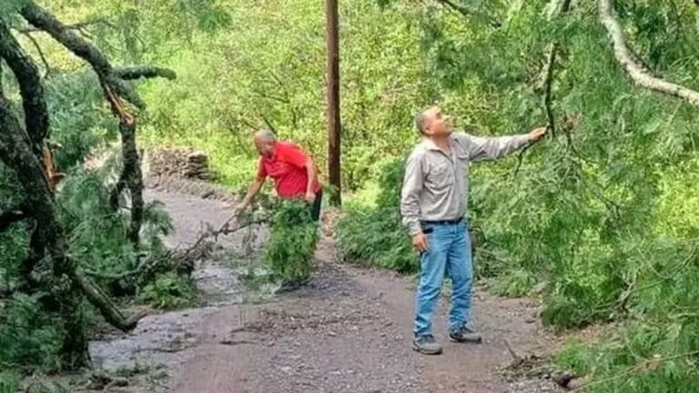 Fuerte tormenta y viento causaron destrozos en Ancasti